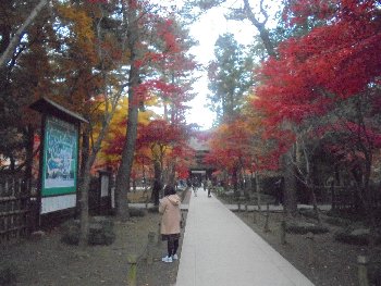 紅葉の平林寺