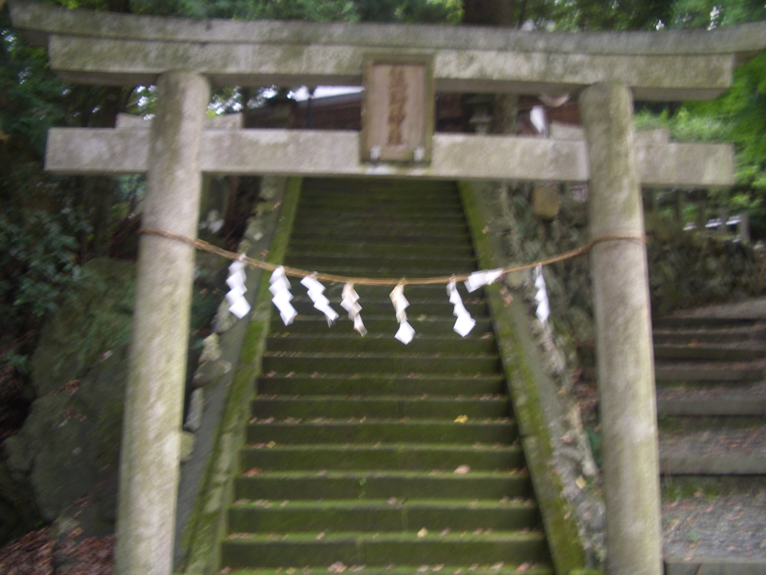 魚野神社