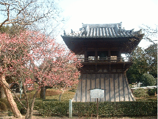 鑁阿寺